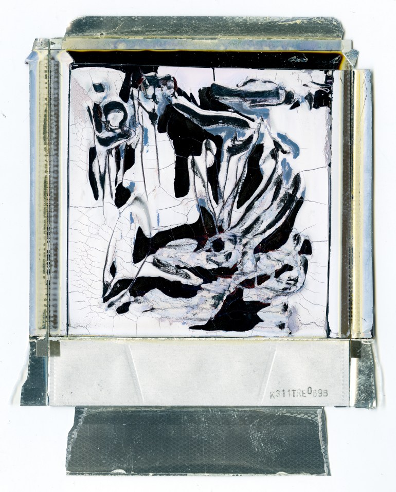 A) - Pierluigi Vannozzi - Il giardino d'inverno - polaroid - 1997