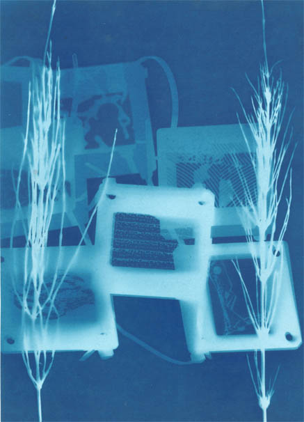 KindOfCopy_Cyanotypie-1